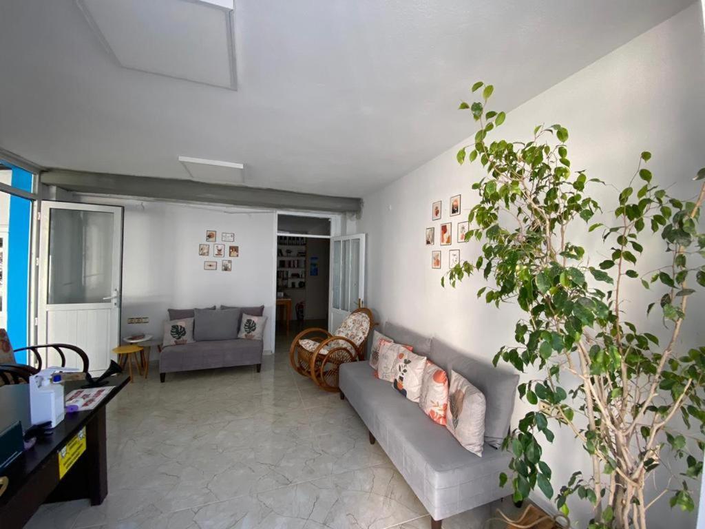 Nese Hotel Çeşme Luaran gambar